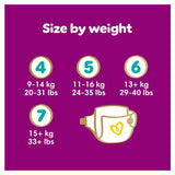 Pampers Premium Protection Size 6, 144 Pack-5