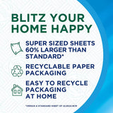 Regina Blitz Household Towel 8 Rolls-1