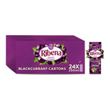 Ribena Ready to Drink Blackcurrant 250ml X 24