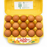 The Happy Egg Co. Free Range Medium Eggs – 15 Pack-1